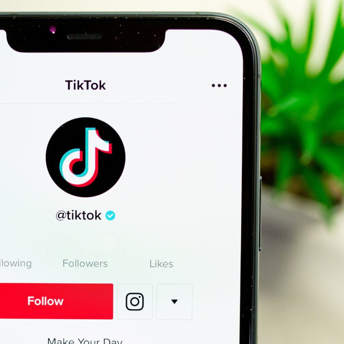 How to Remove Your TikTok Profile Picture - Tech Junkie