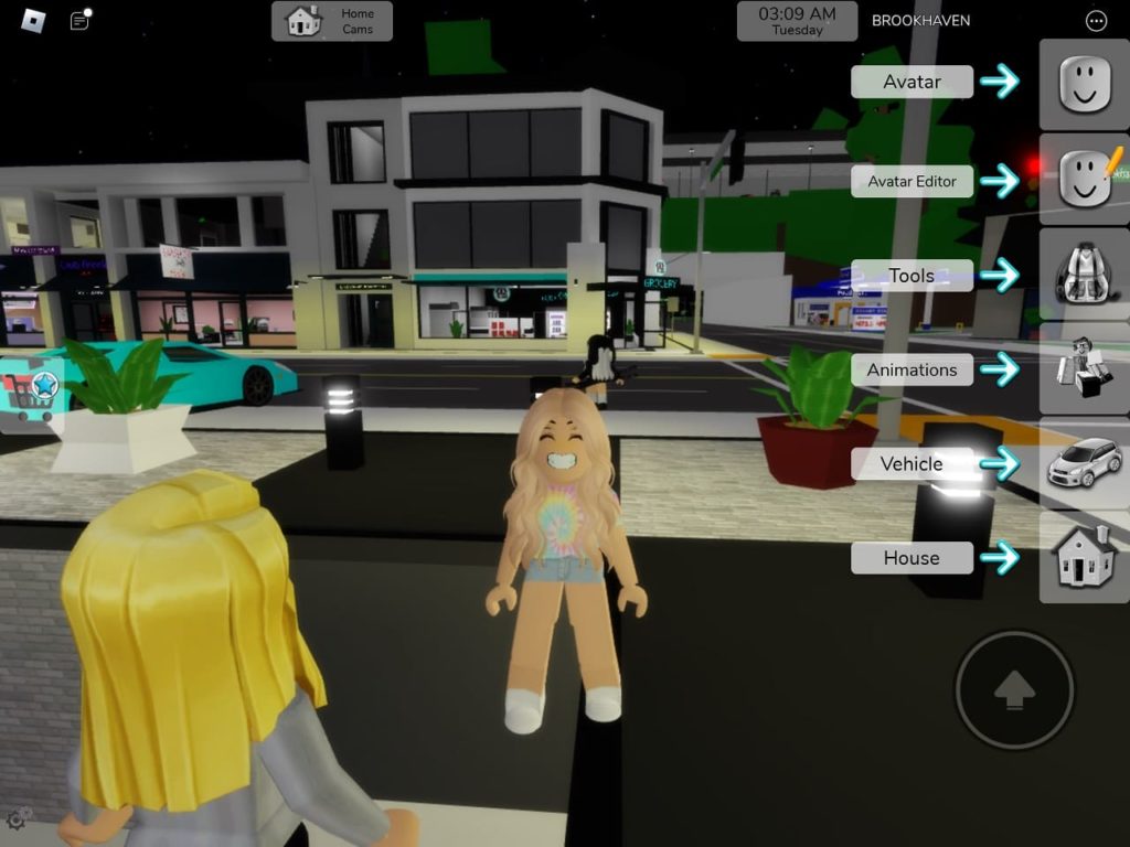 roblox-brookhaven