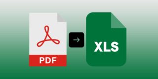 PDF to Excel