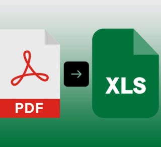 PDF to Excel